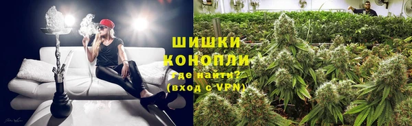 бошки Алзамай