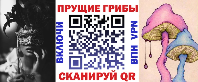 Псилоцибиновые грибы GOLDEN TEACHER  мега сайт  Большой Камень  где купить наркоту 